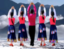 凤凰六哥广场舞《雪域爱人》藏族舞 背面演示及分解教学 编舞六哥