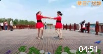 凤玲广场舞原创《两颗年轻的心》双人对跳含分解教学