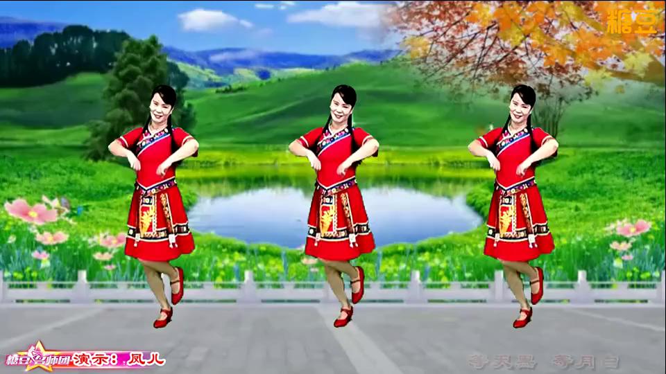 凤儿广场舞《等妹来》有特色的民族舞附教学