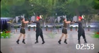 广州太和珍姐广场舞《山寨美》双人对跳水兵舞背面教学