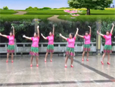 贵州羽蝶广场舞今生的唯一 抒情广场舞 背面及口令分解动作教学 编舞羽蝶
