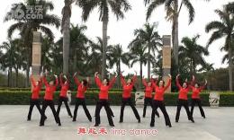 海之韵广场舞舞动中国 附分解动作教学 原创编舞桃源