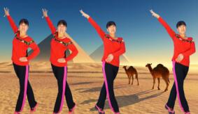 衡水阿梅广场舞《沙漠骆驼》网红摆胯32步 背面演示及分解教学