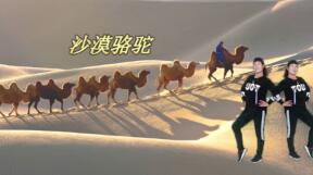 洪冬仙广场舞《沙漠骆驼》16步动感小摆跨 背面演示及分解教学