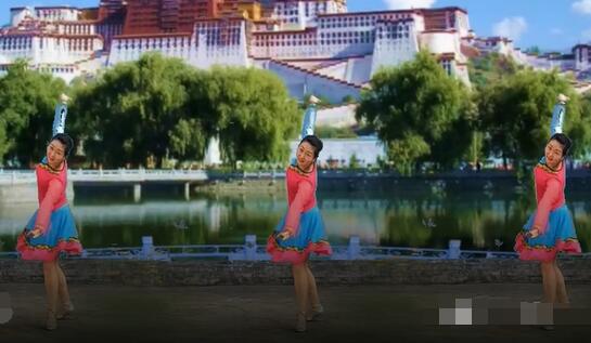 花想容广场舞《我和西藏有个约定》优美藏族舞 背面演示及分解教学
