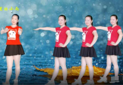 湖北珍珍广场舞《三月里的小雨》网红64步 背面演示及分解教学 编舞珍珍