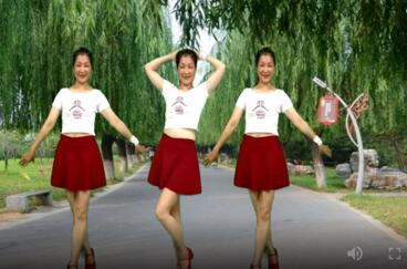 金社广场舞《天蓬大元帅》32步网红神曲女生版 背面演示及分解教学