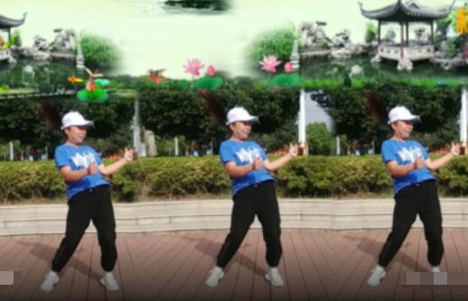 丽丽广场舞《饿狼传说》32步网红火爆摆胯舞蹈 背面演示及分解教学