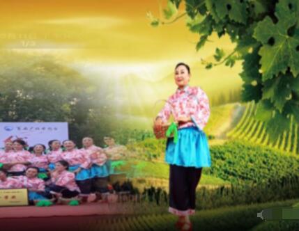 丽珠广场舞《老百姓的菜篮子》16人队形版 背面演示及分解教学 编舞丽珠