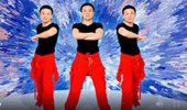 武阿哥广场舞《赴汤蹈火》零基础16步鬼步舞步子舞 两种跳法 演示和分解动作