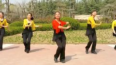 舞动旋律2007健身队 手心里的温柔 广场舞视频