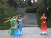 云紫燕傣族舞 竹楼情歌 葫芦丝伴奏队形舞
