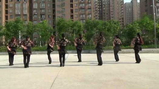 杨杨姐妹广场舞《潇洒走一回》32步 演示和分解动作教学 编舞杨杨