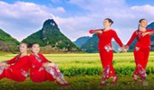 惠州梅子广场舞《荞麦花》网红舞 演示和分解动作教学 编舞林州芳芳