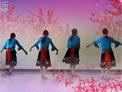 春花广场舞 藏语舞曲 附口令分解动作及背面演示