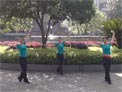 兰燕稻都广场舞 剪纸花的姑娘 正反面演示