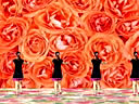 阿娜广场舞 幸福的玫瑰 附背面演示