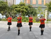 广东惠州影子心广场舞 姑娘好美丽 正面演示 背面演示 分解教学