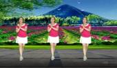 冰糖葫芦广场舞《野花香》网红32步 演示和分解动作教学 编舞冰糖葫芦