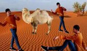 开心广场舞《沙漠骆驼》流行神曲 演示和分解动作教学