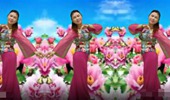 白玫瑰广场舞《我的九寨》藏族舞 演示和分解动作教学 编舞白玫瑰