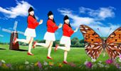 阿珠广场舞《花蝴蝶》原创32步 演示和分解动作教学 编舞阿珠