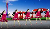 阿连广场舞《歌声恋情》独特舞蹈口令 演示和分解动作教学 编舞阿连