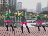 合肥果果原创广场舞 新年祝福歌 正背表演与动作分解