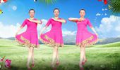 青春年华广场舞《姑娘我等你》简单好学藏族舞风格 演示和分解动作教学