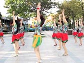 温州燕子原创广场舞《次仁和桑珠的爱》 正面演示 背面演示 分解教学