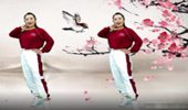 晓杰广场舞《三月里的小雨》网红DJ优美64步步子舞 演示和分解动作教学