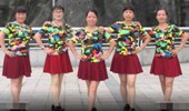 厦门梅梅广场舞《红山果》演示和分解动作教学 编舞梅梅