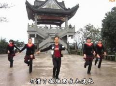 武阿哥原创广场舞《我要去西藏》团队版 附教学
