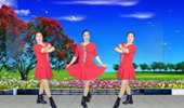 春晖广场舞《女人语录》32步 演示和分解动作教学 编舞春晖