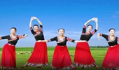 春英广场舞《花开的地方》藏族舞 演示和分解动作教学 编舞春英