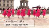 小丽子明广场舞 一生一个梦 正面动作表演版与动作分解