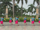 海之韵广场舞 美丽中国更美丽 正背表演与动作分解