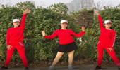 贵州开心广场舞《风的季节》网红舞曲零基础时尚舞蹈服 演示和分解动作教学