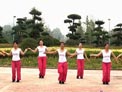 舞动中原馨蕾广场舞 跳到北京 附分解教学和背面演示