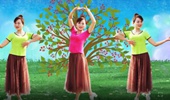 银河湾广场舞《红枣树》唯美浪漫 演示和分解动作教学 编舞阳光