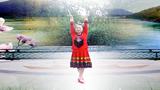 千岛湖秀水广场舞 中国最北最美的苗寨 个人版正背演示与动作分解教学