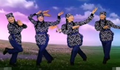 谷城元琴广场舞《想妹妹》32加8步秧歌舞蹈简单易学 演示和分解动作教学