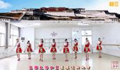 刘荣广场舞《青藏女孩》藏族舞 演示和分解动作教学 编舞刘荣