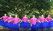 谢春燕广场舞《家乡的红枣树》现代形体舞 演示和分解动作教学