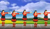 成碧姐妹广场舞《天涯歌女》经典老歌24步简单好学 演示和分解动作教学