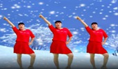 繁星明月广场舞《东北的冬东北的情》32步 演示和分解动作教学 编舞繁星