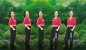 河南丽儿广场舞《野花香》动感流行32步 演示和分解动作教学 编舞丽儿