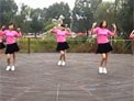 浙江温州张林冰原创广场舞  DJ自由舞 张林冰编舞 含分解动作