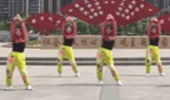 安徽绿茶飞舞广场舞《此生无悔》初级健身操 演示和分解动作教学