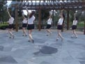 温州燕子广场舞 动感炫舞